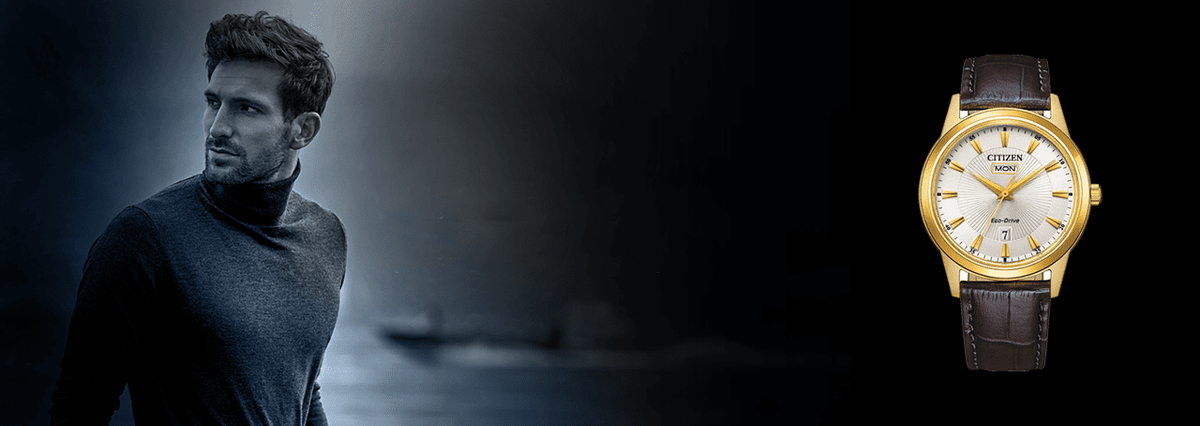 Citizen men's eco wr100 ss brac blk online