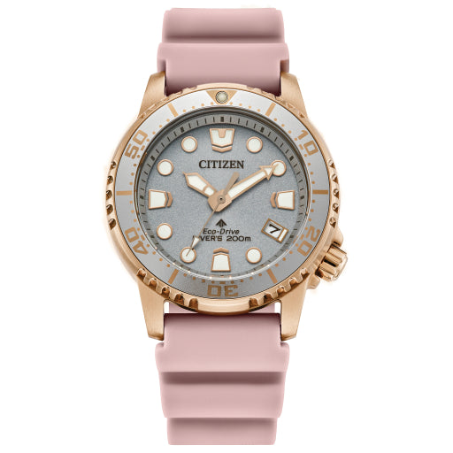 Citizen Stainless Steel Promaster Eco Ladies Watch